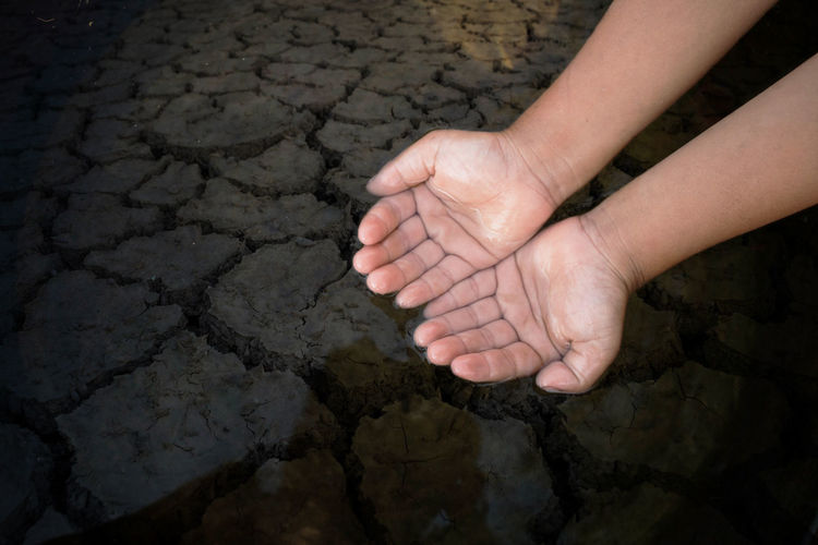 Cropped hands in lake during drought