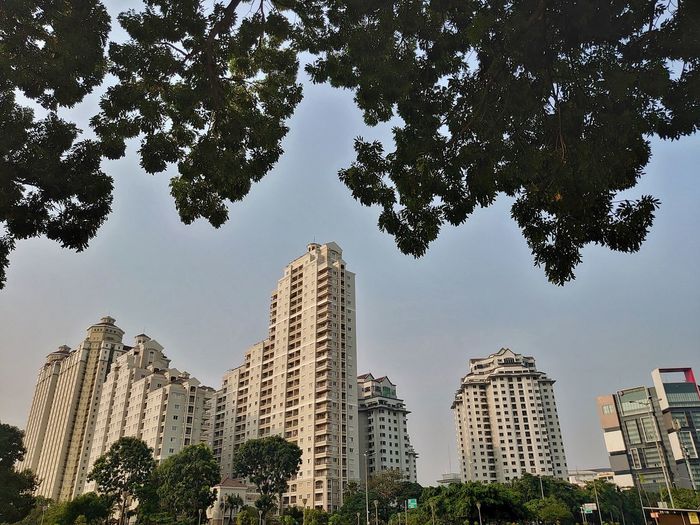 Low angle view of trees and buildings against sky