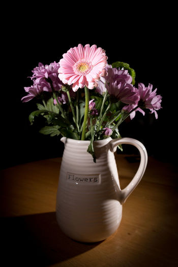 Close-up of pink flower in vase