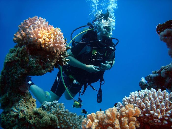 Person scuba diving in red sea