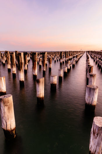 Panoramic view of wooden pier posts in row, princes pier, melbourne