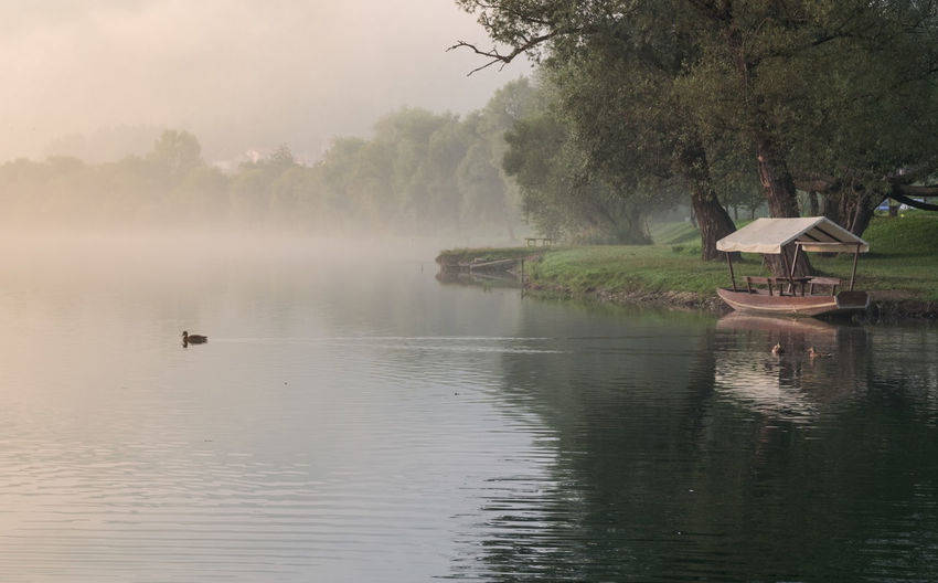 Scenic view of lake