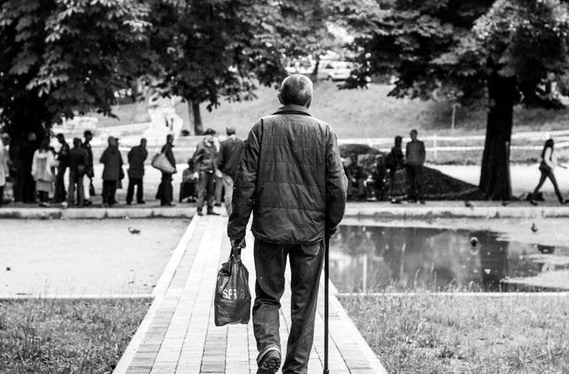 Rear view of men walking in park