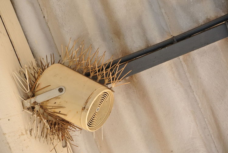Low angle view of spiked speaker on ceiling