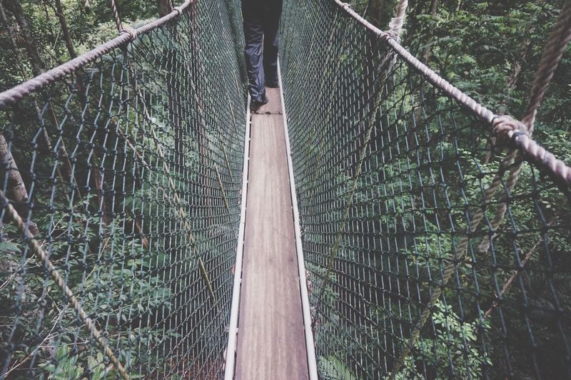 Low section of person walking on canopy walkway at forest
