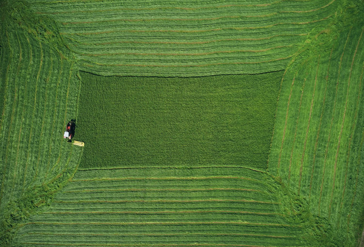 Man working in agricultural field