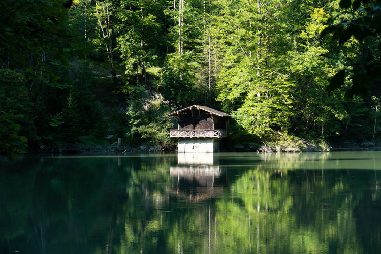 Built structure in lake against trees in forest