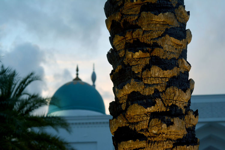 Panoramic view of temple against building