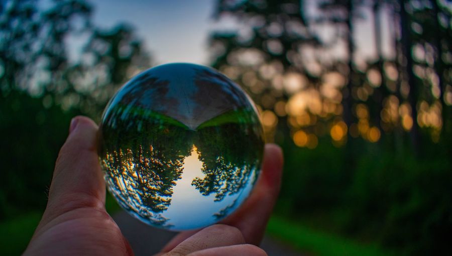 Cropped hand holding crystal ball with trees reflection at sunset