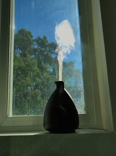 Close-up of vase on window sill at home