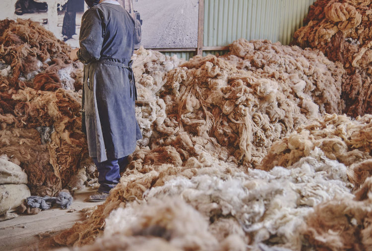 Woman worker sorting brown fibers in alpaca wool production in peru, selective focus.