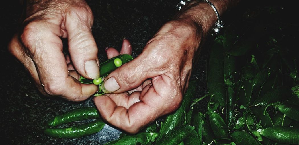 Close-up of hand holding leaves