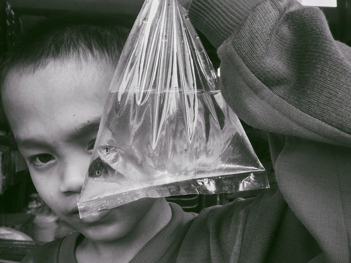 Close-up of boy holding fishes in plastic bag