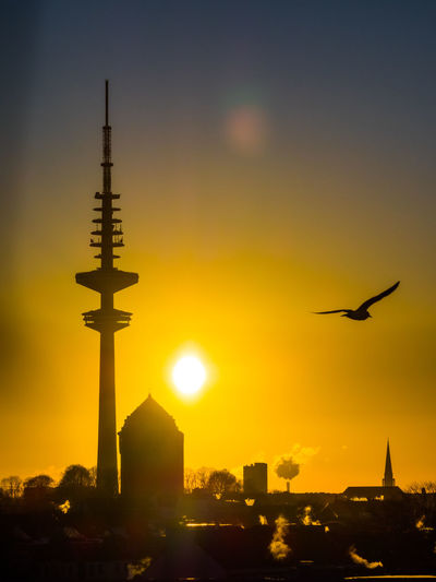 Silhouette bird flying in city against sky during sunset