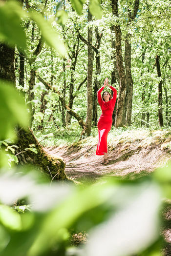 Rear view of woman standing in forest