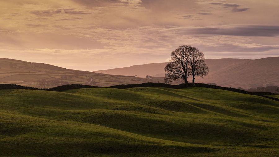 Scenic view of field against sky during sunset