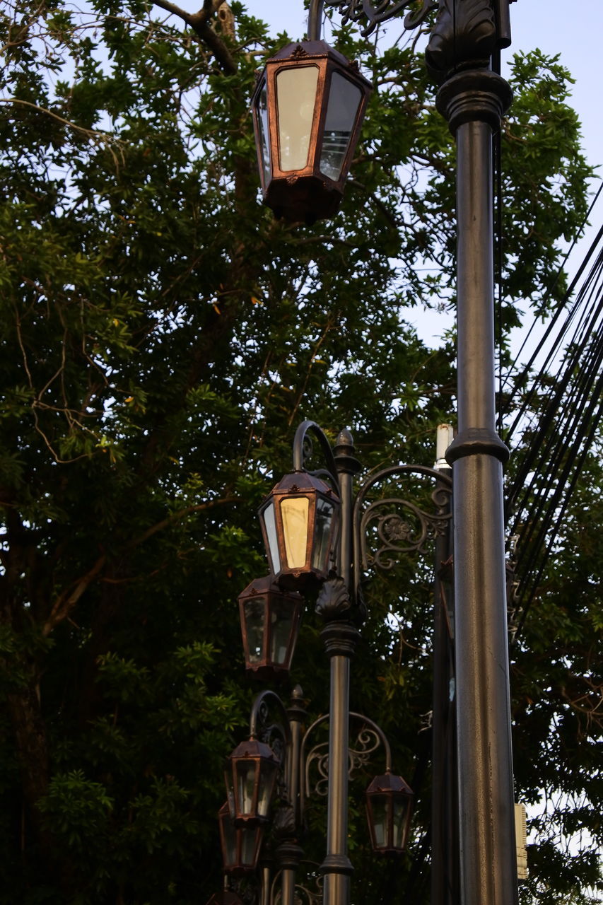 LOW ANGLE VIEW OF STREET LIGHT AND TREES AGAINST SKY