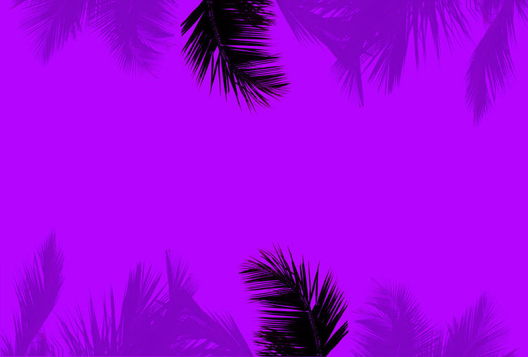 Palm leaves illustration , areca palm leaf tropical leaves on paln purple color background. vector.
