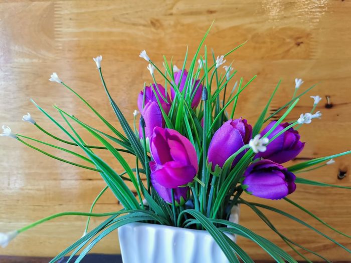 Close-up of purple crocus flowers on table