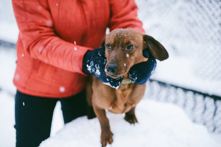 Close-up of woman with dog on snow