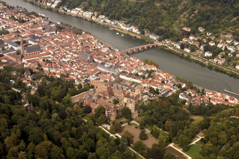 High angle view of heidelberg castle by trees in city