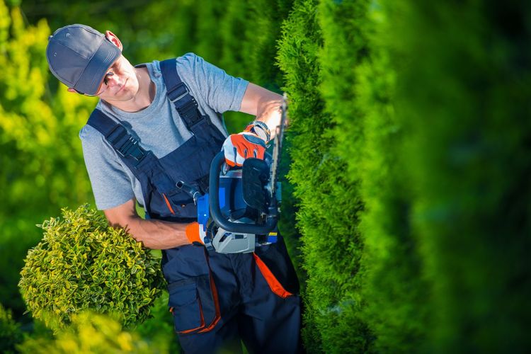 Manual worker outdoors