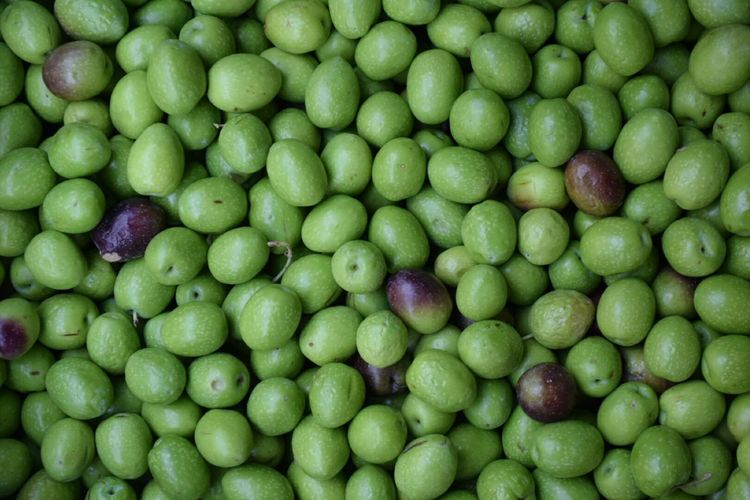 Full frame shot of green olives at market stall for sale