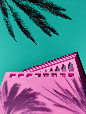 LOW ANGLE VIEW OF PALM TREES AND BUILDING AGAINST SKY