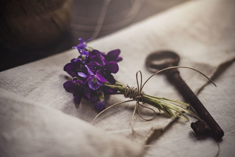Close-up of violets and old key on table
