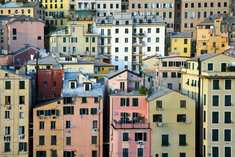 Houses in city