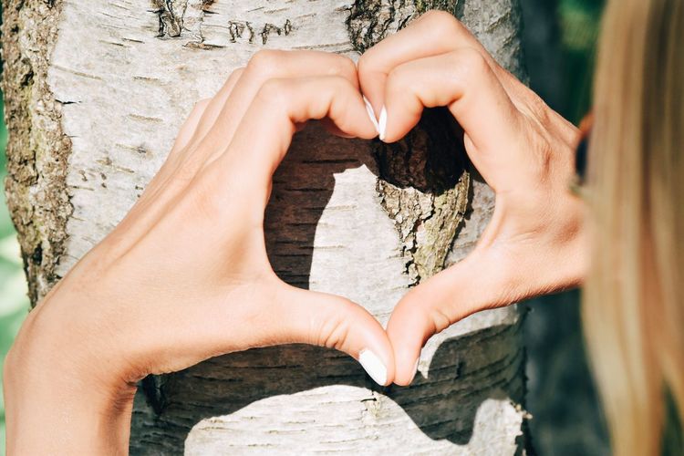 Midsection of woman making heart shape on tree trunk