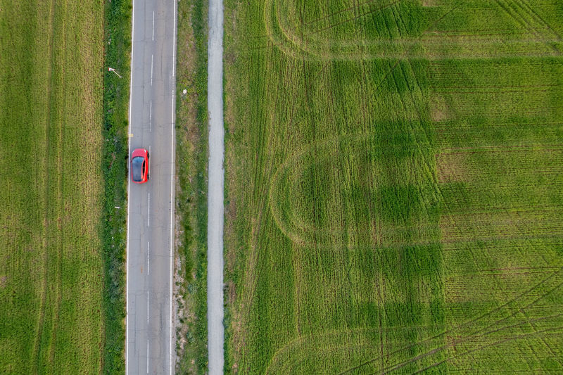 High angle view of agricultural field