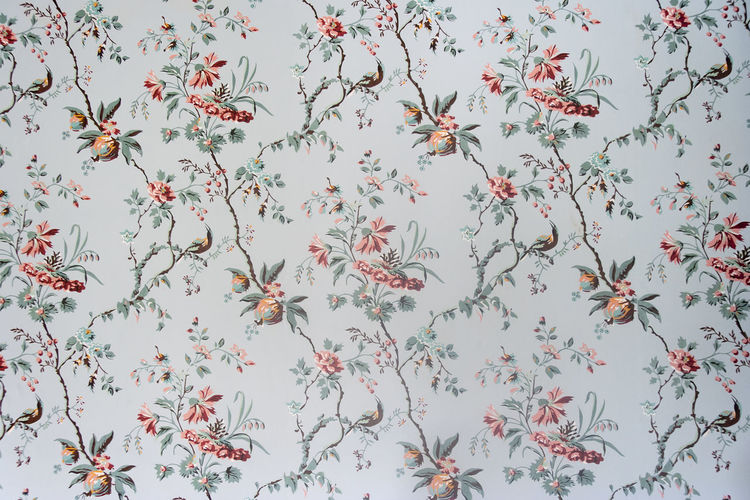 Full frame shot of vintage wallpaper with floral pattern