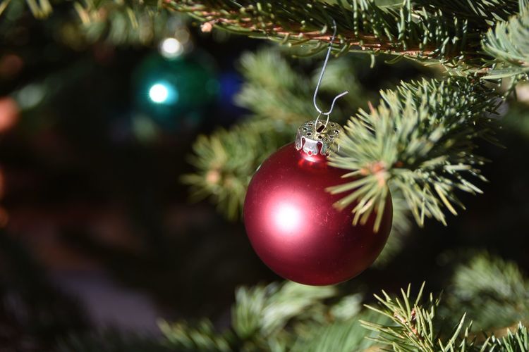 Close-up of red bauble christmas tree
