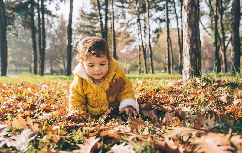 Girl looking away in autumn leaves on field