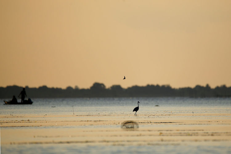 Silhouette stork and kayak fisherman