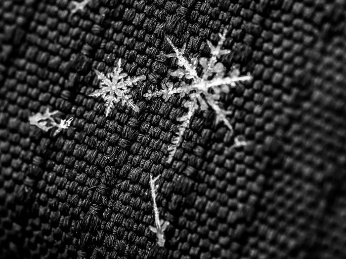 Full frame shot of snowflakes