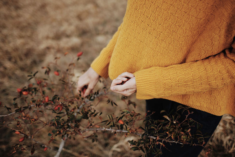 Midsection of woman holding plant on field