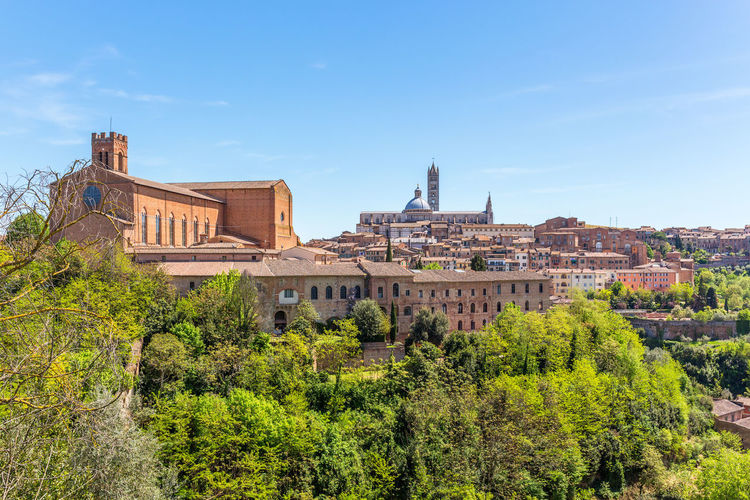 View of the city of siena in italy