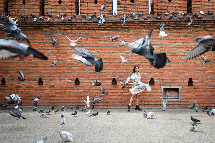 Woman is walking through group of birds