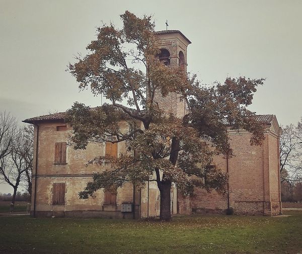 Tree by old building against sky