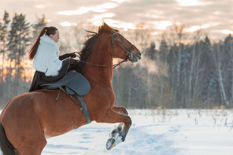 A girl in a white cloak rides a brown horse in winter.