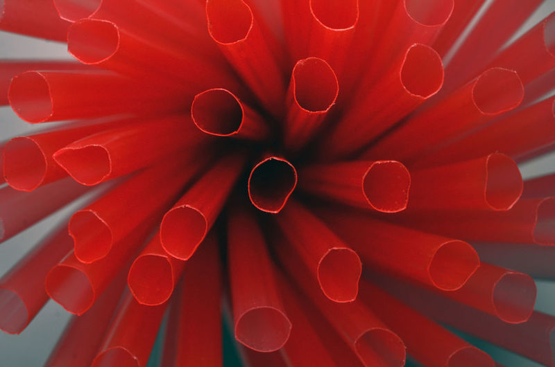 Close-up of drinking straws