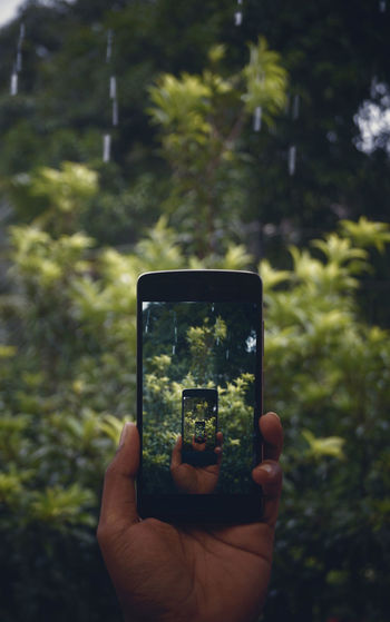 Cropped hand of man photographing against plants