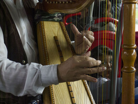 Midsection of musician playing harp in bus