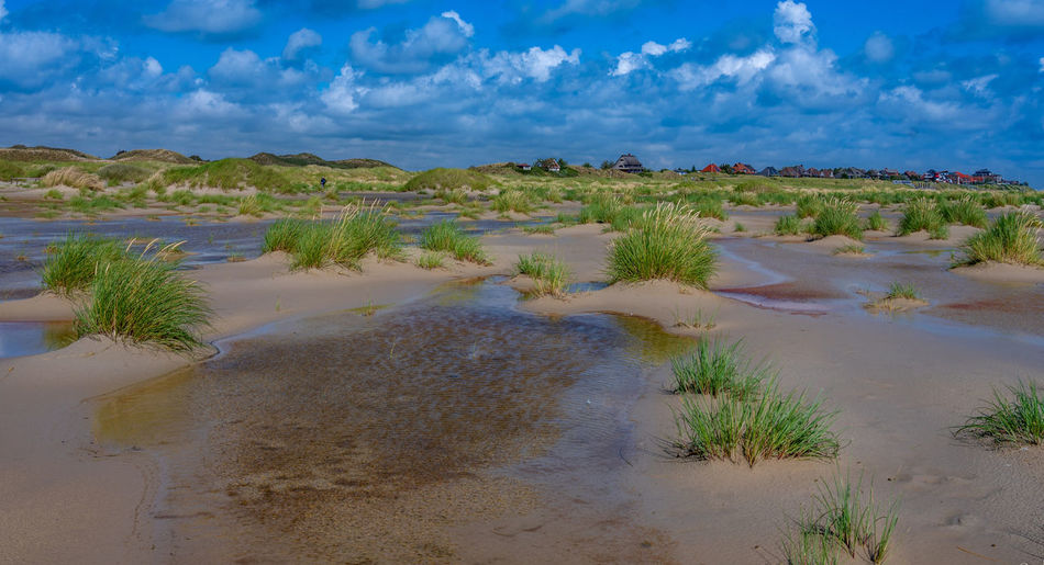 Scenic view of beach against sky
