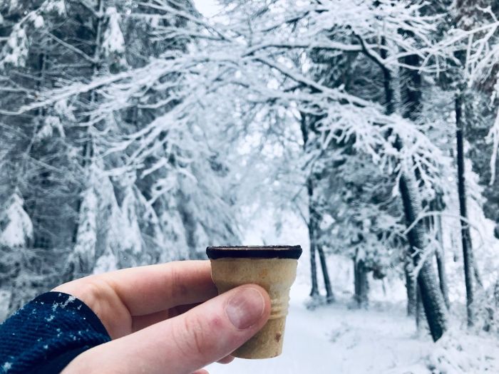 Cropped hand holding drink against snow covered trees in forest