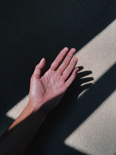High angle view of human hand on shadow
