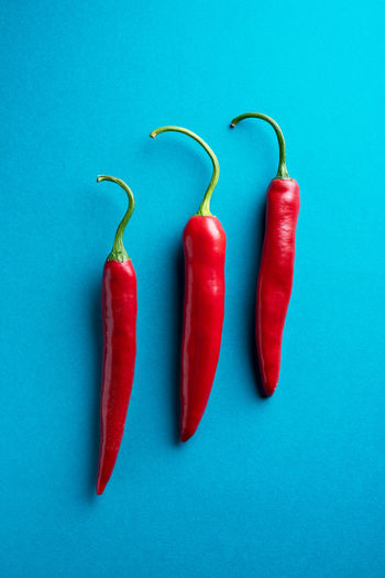 Close-up of red chili peppers against blue background