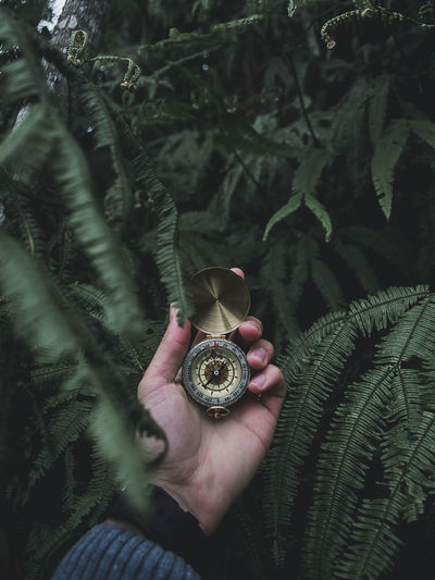 Close-up of hand holding navigational compass amidst plants